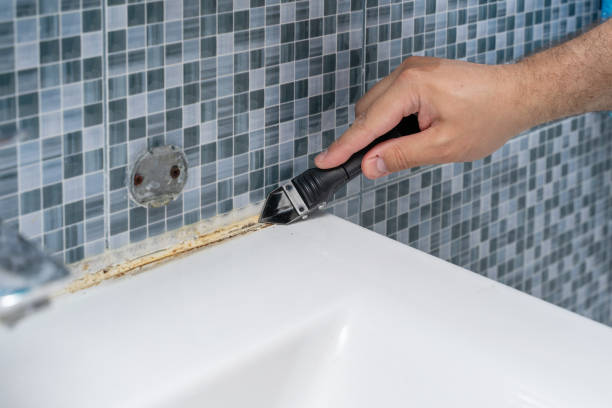 Best Toxic Mold Removal  in White Hall, WV