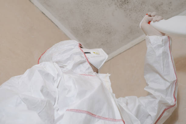 Best Mold Cleaning Services  in White Hall, WV